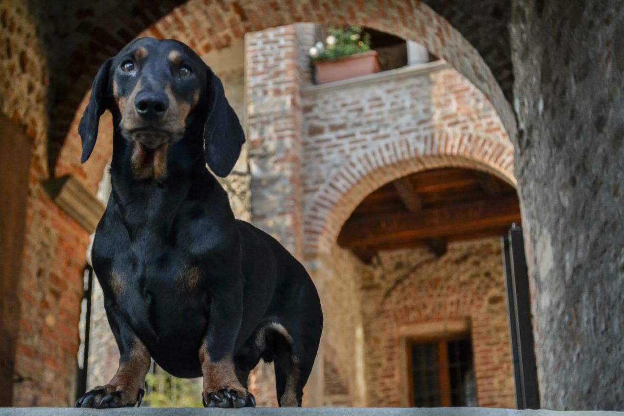 Bed and Breakfast Castello Di Cernusco Lombardone Экстерьер фото