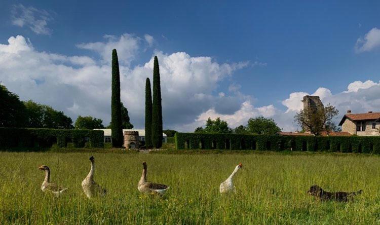 Bed and Breakfast Castello Di Cernusco Lombardone Экстерьер фото